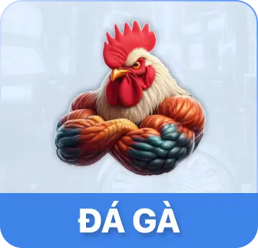 78WIN Đá Gà – Cá Cược Đá Gà Trực Tuyến Uy Tín, Tỷ Lệ Cao
